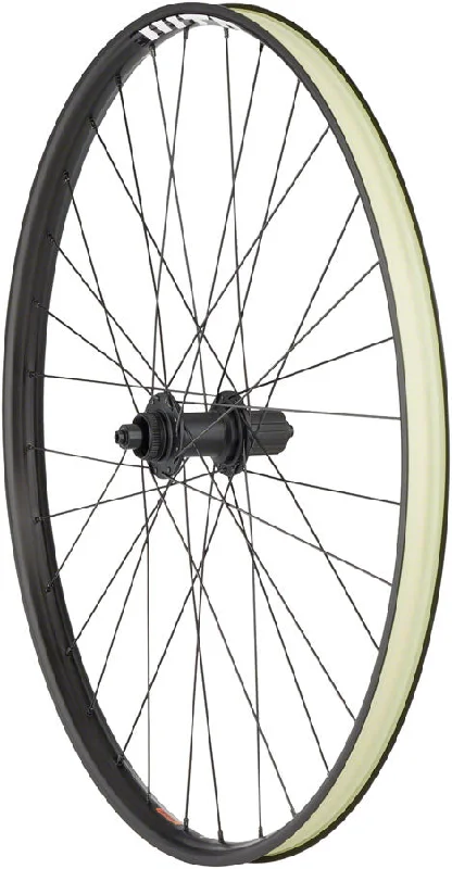 bicycle tool precision-Quality Wheels BearPawls / WTB ST i30 Rear Wheel - 29" QR x 135mm Center-Lock HG 11 BLK