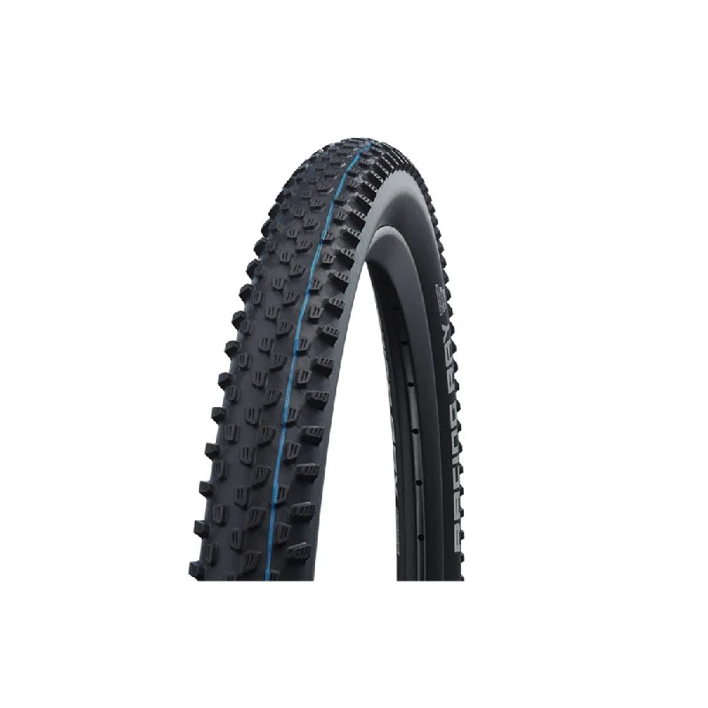 bicycle cleaner robustness-Schwalbe Racing Ray SuperGround EVO Addix SpeedGrip Tubeless Easy Tire