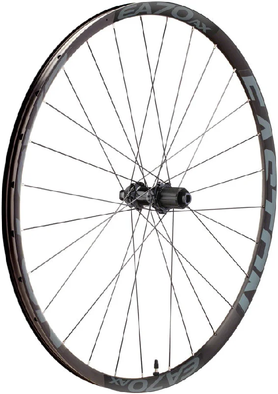 bicycle shoe resilience-Easton EA70 AX Rear Wheel - 700 12 x 142mm/QR x 135mm Center-Lock HG 11 BLK